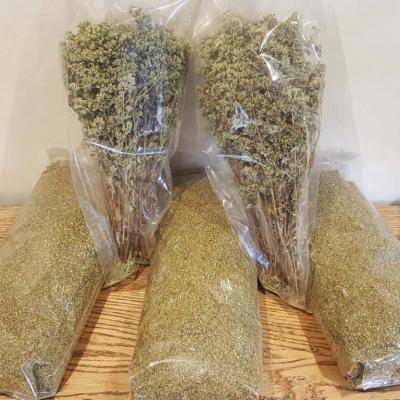 Oregano Product