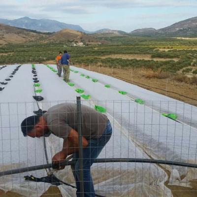 Preparing The Nursery Crete