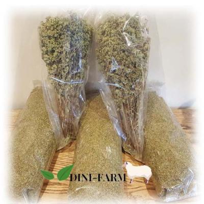 Oregano Leaves