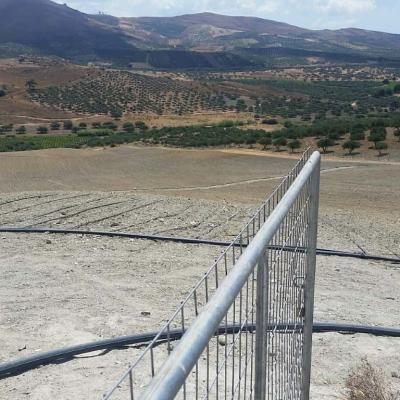 Oregano Field Crete